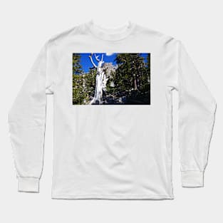 850_6883 Long Sleeve T-Shirt